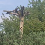 tree sculpture with a face
