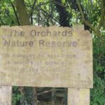 old or original wooden sign to the orchard