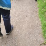 team members walking along tow path of canal